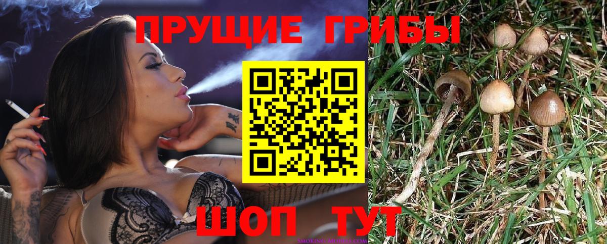 Галлюциногенные грибы Cubensis Южноуральск